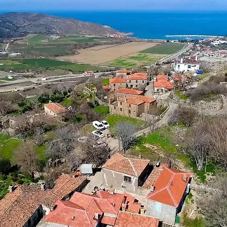 Feride Fonksiyonel Yasam İmroz