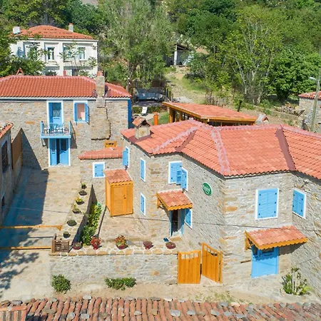 Feride Fonksiyonel Yasam Bed & Breakfast *