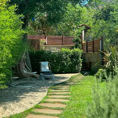 Feride Fonksiyonel Yasam *